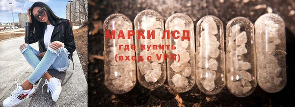 спиды Аркадак